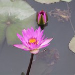 <!--:en-->Introduction of Elderly Ministry<!--:--><!--:zh-->長者事工 – 簡介<!--:-->